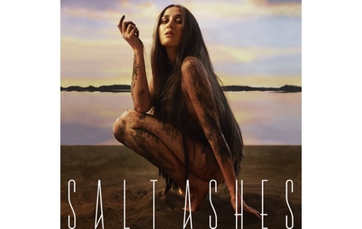 Salt Ashes